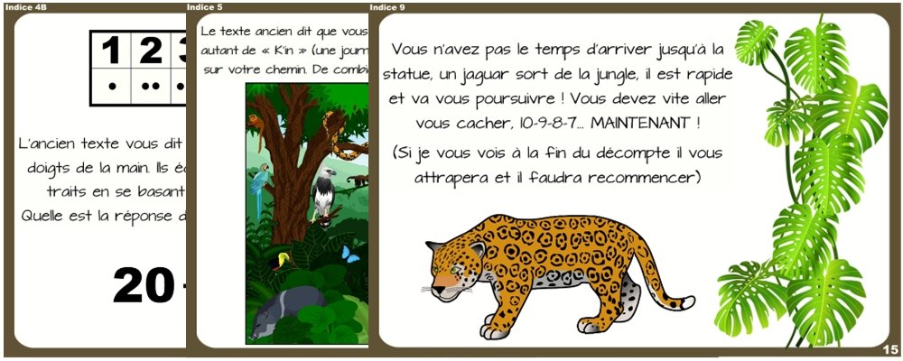 chasse au tresor jungle