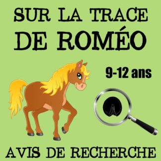 chasse au trésor poney