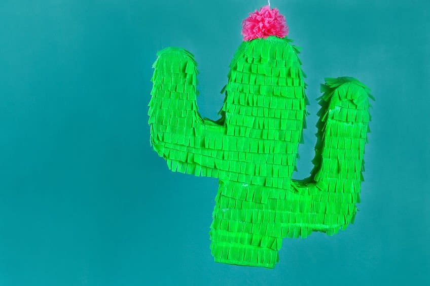 pinata cactus